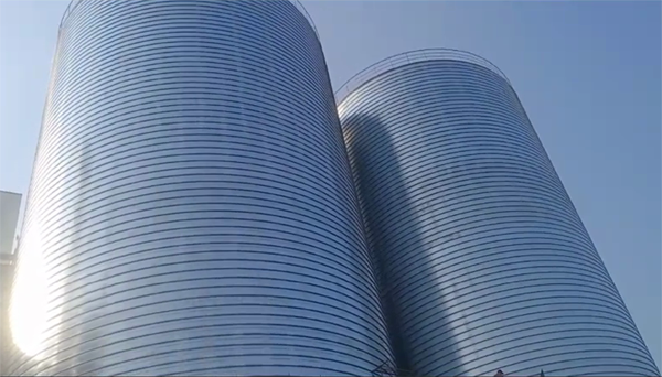 胶州2座混凝土高架卷板仓